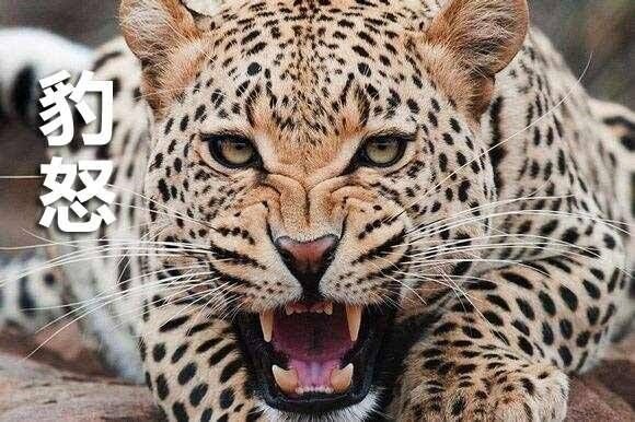 侃房哥第104期:如果房产不能帮你赚钱 那其他