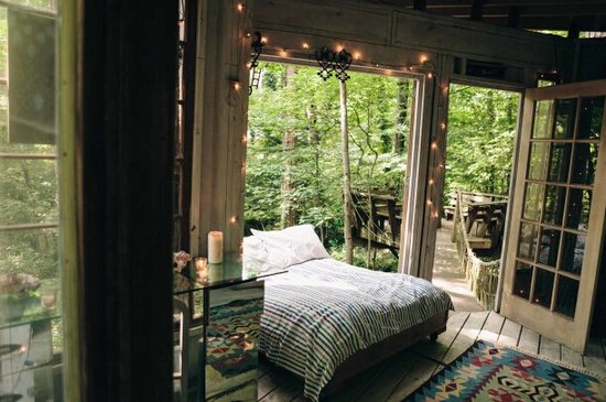 童年幻想的梦幻树屋 森林中的秘密基地