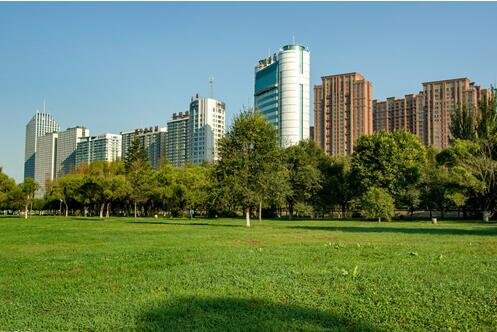 莫斯科人均绿地面积_烟台人均住房面积(2)