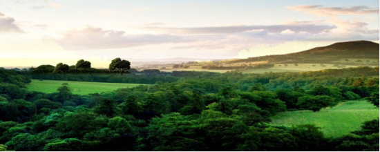 人生得意时,自在观云山_频道-烟台