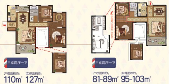 9552081.jpg