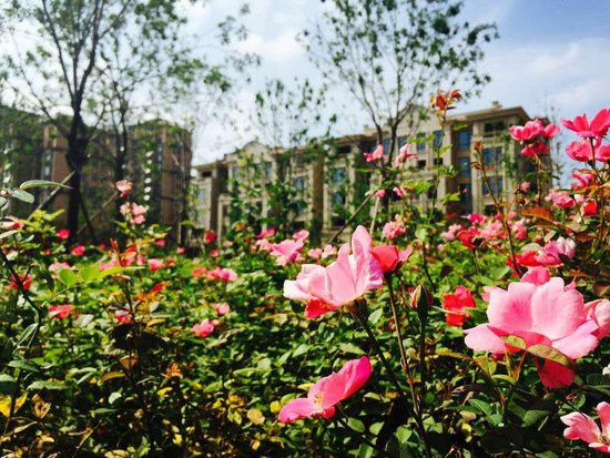 中建悦海和园二星图纸建筑设计标识获住建部审式绿色54图片