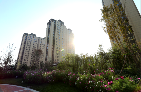 万科御龙山祝您大展宏图:新年新气象 猴年满堂