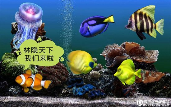 首届海洋生物展登陆林隐天下——全肇庆,“海”起来