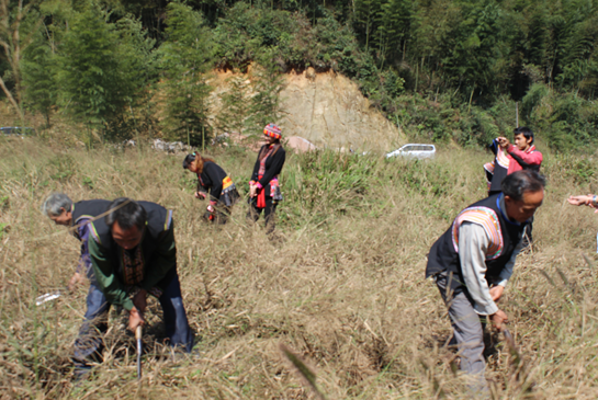 湘江源村晚第二季向茶山村进发_频道-永州