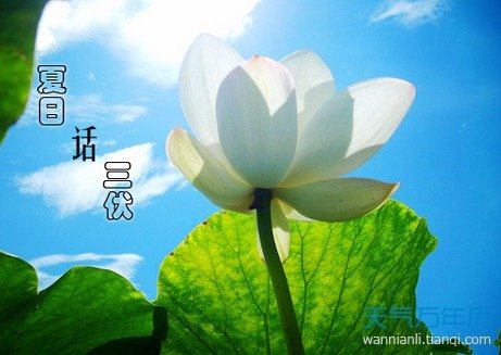 三伏天里的防暑降温_频道-永州