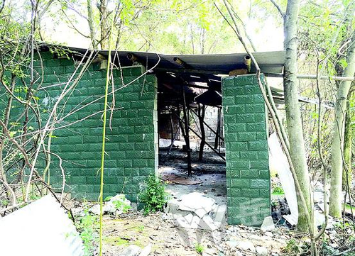 岳阳城区违法建设危害现状及其滋生原因大调查