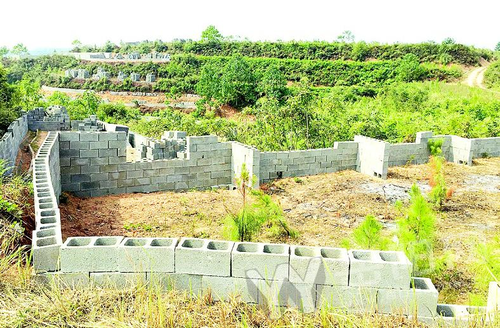 岳阳城区违法建设危害现状及其滋生原因大调查