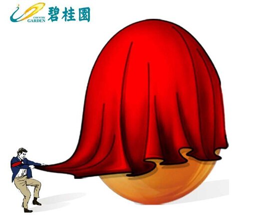 不扯蛋 揭秘碧桂园0号行动的猫腻_频道-岳