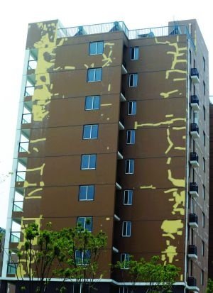 南京江宁惊现多栋补丁楼建设方称不影响安全