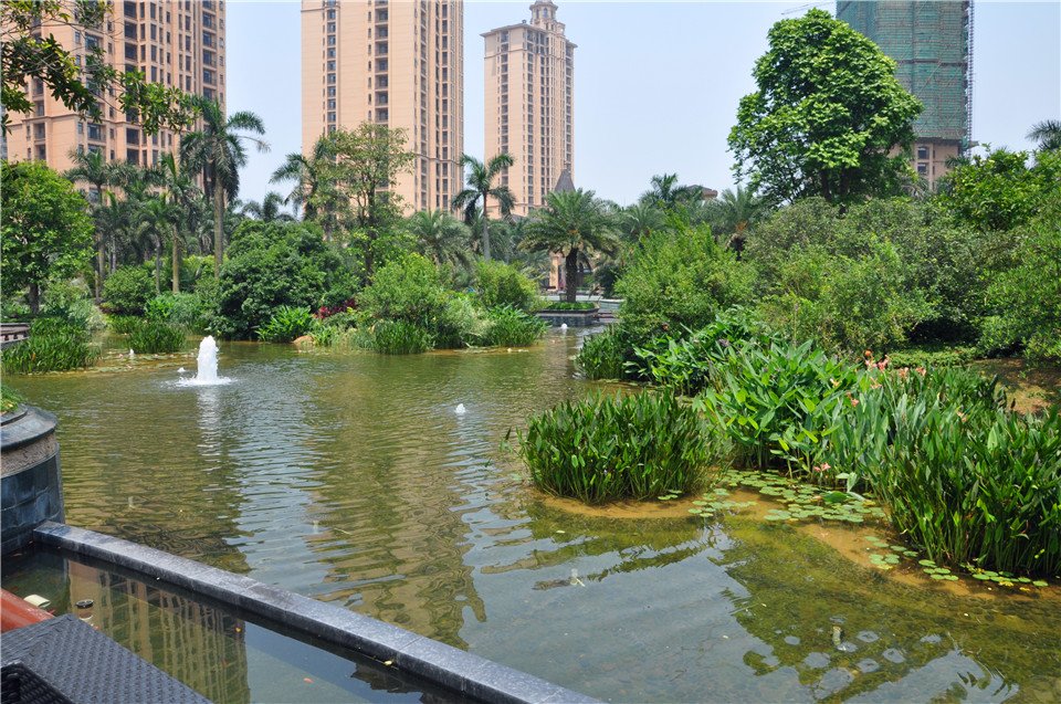 第一发布008期:零距离感受幸福 镇江媒体雅居