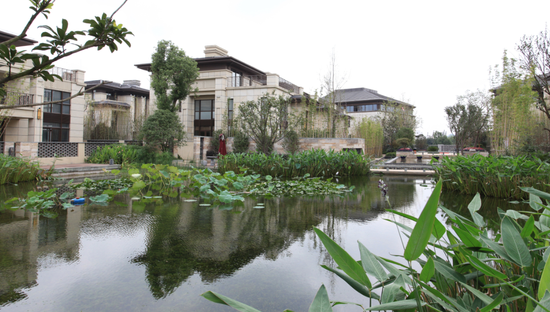 中集·金山湖1号:国际大师巅峰之作致敬千年镇