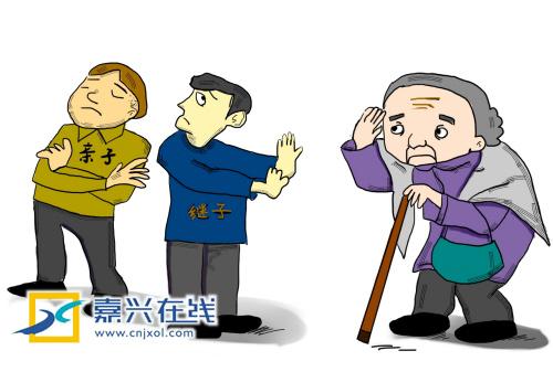 嘉兴孤苦老太三餐难继 亲子继子都不赡养