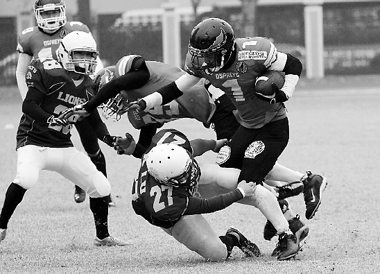 杭州首场美式橄榄球赛昨开打 女粉丝惊呼好生猛_大浙网_腾讯网