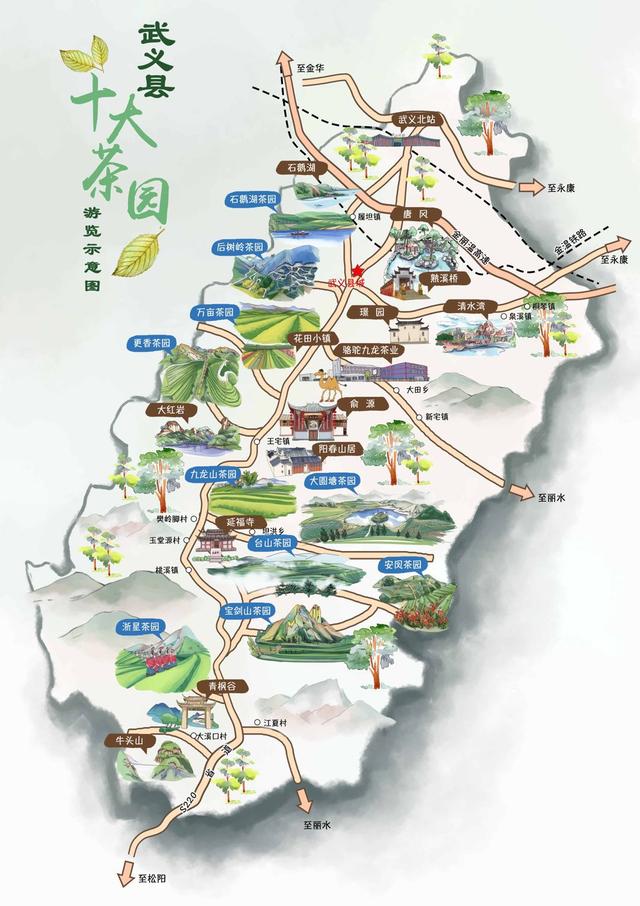 武义茶园地图图片