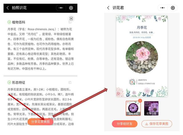 如果通过杭州发布公众号 使用识花君小程序拍照识花 每次识别花草后