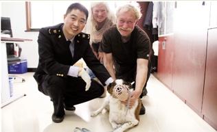 宁波外教带爱犬回美国探亲 检疫手续一点不马