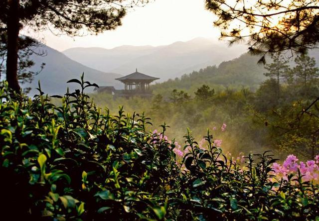 湖州元旦旅游揽金8.5亿元 哪家景区人气最高?