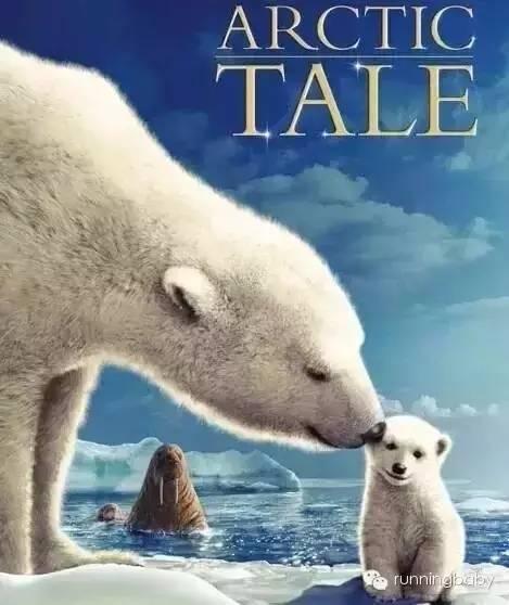 十部适合孩子的动物主题电影 学会感恩 勇气和