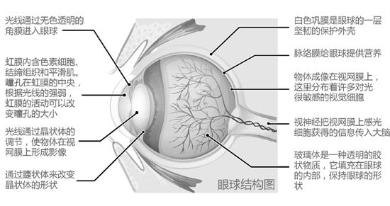 <em>白金</em>色还是<em>蓝黑色</em>? 一条<em>裙子</em>吵翻朋友圈_大浙