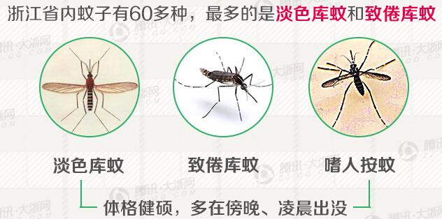 如何灭蚊子的小技巧 115317515.jpg