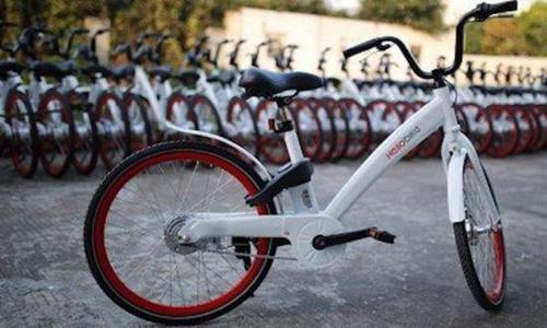 宁波女子骑了次哈罗单车 结果被扣了1087元