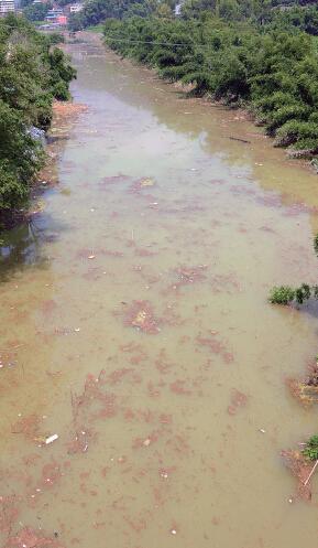 水源水库变成烂泥塘 水流太急暂无法做保洁