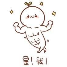 2万的婚礼办出10万的效果 腾讯专属婚礼管家现场教学