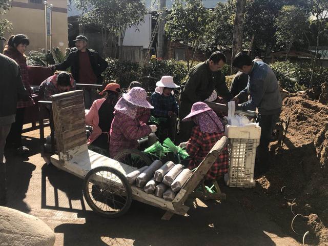 灶台gdp_农村灶台(2)