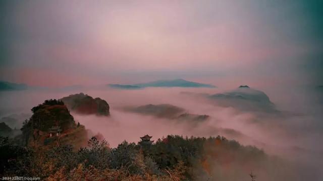 当音乐精灵遇上东西岩 紫藤花下余音袅袅