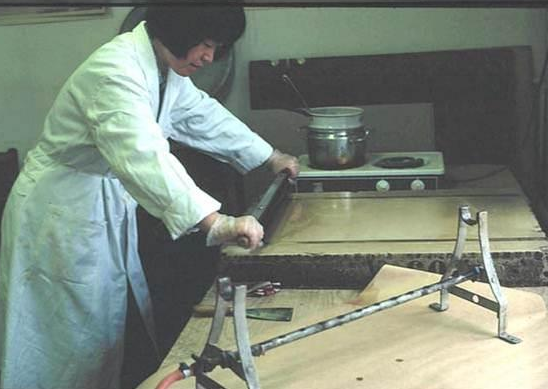 浙江的女儿 科学的赤子 访中科院院士古生物学家张弥曼