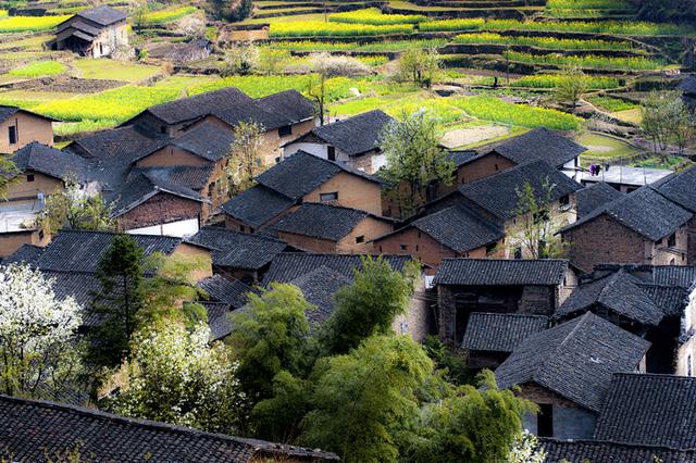 绿色发展 生态富民理论研讨会在开化举行