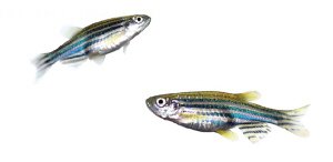 最好仪器盯住浙江人的水源地 有突发污染会报