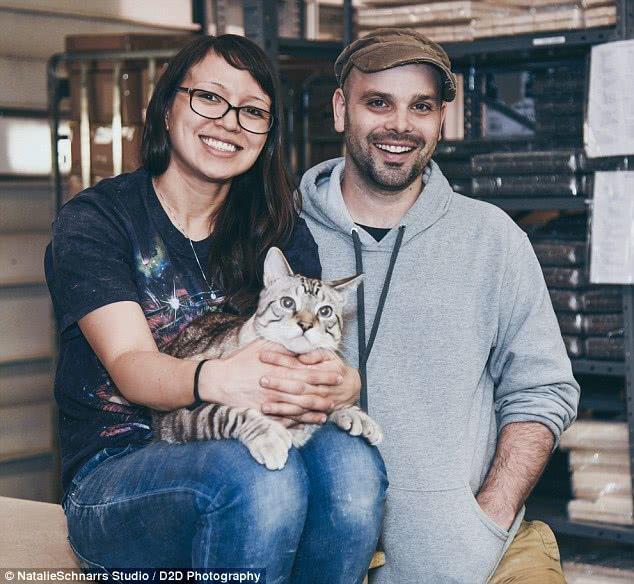 巨肥!30斤大橘猫胖成猪 被逼减肥成网红