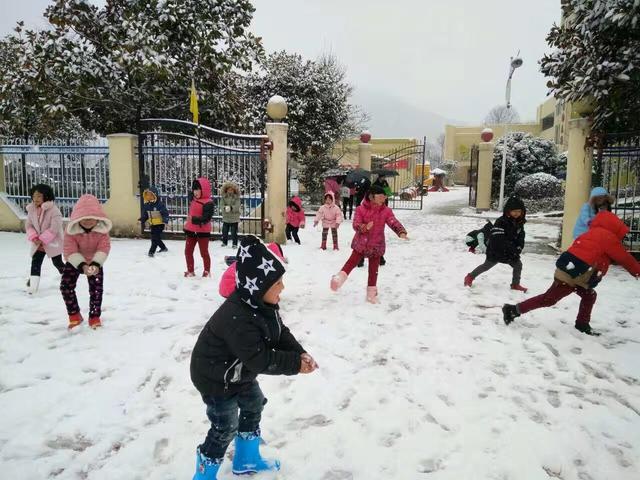 丽水下雪啦!多地已有厚厚的积雪