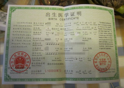 广州无偿献血证编号查询_出生证编号户籍信息_会计从业证编号查询系统