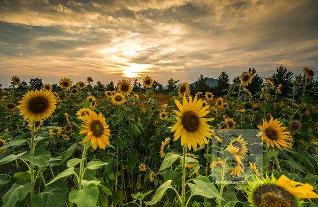 浙江全省有3到5天的强降雨 一大波台风正在酝
