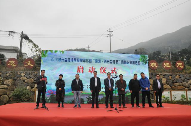 2018嵊州香榧推荐品牌评比活动在通源乡举行