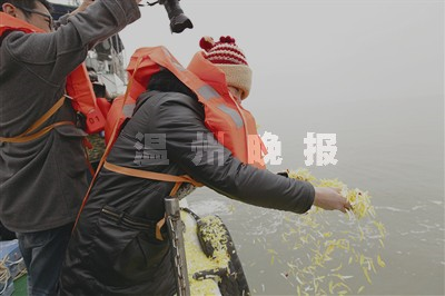 温州殡葬习俗改革 生态葬日渐受到百姓青睐
