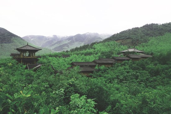 519中国旅游日集结令 湖州长兴八景惠民