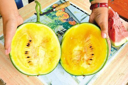 象山大徐瓜农种出彩虹西瓜 每只售价至少10