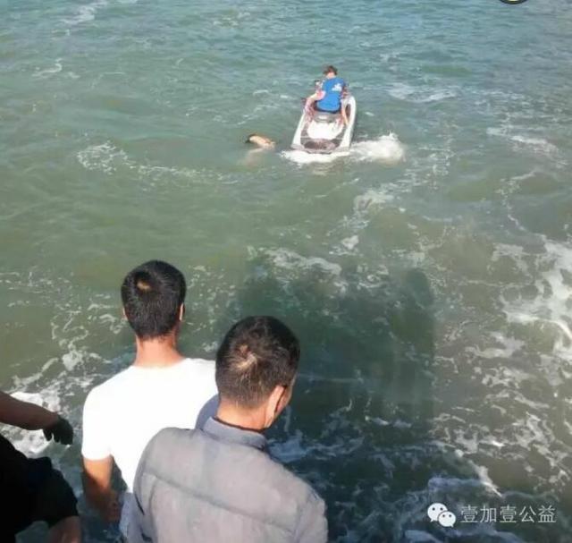 温州一男子海钓不幸落海遇难 尸体已被打捞上岸