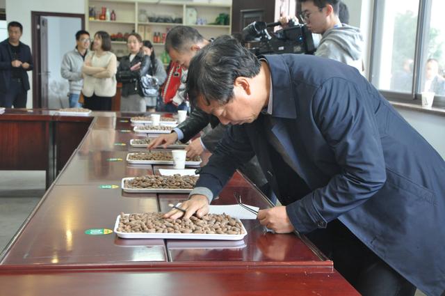 2018嵊州香榧推荐品牌评比活动在通源乡举行