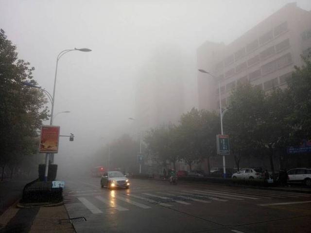 金华气象台今晨发布大雾橙色预警 市民出门请