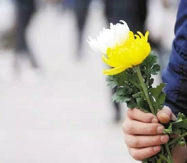 清明节将至 温州市民扫墓将看到免费鲜花
