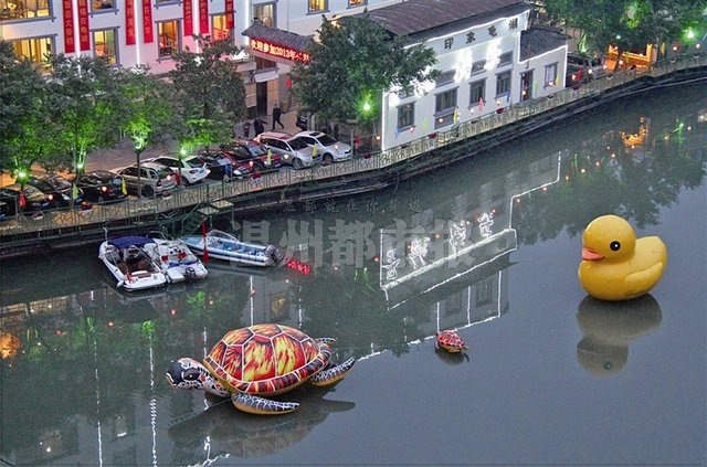 温州冬泳协会扮靓龟湖活动 大黄鸭大金龟卖萌