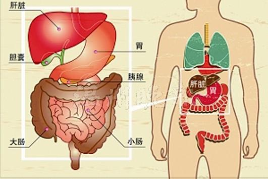 他们把胰腺炎病死率从20%降至4.6% 获医学大奖