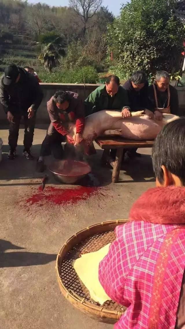 曾育松爱人拿着黄表纸沾蘸少许杀猪刀口血的纸钱,为"送猪买路钱",这