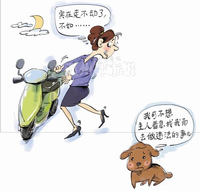 女子爱犬走失深夜还在找 累得走不动偷了一辆车