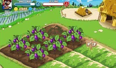 偷菜小分队最新下载_人人网偷菜_开心网偷菜网